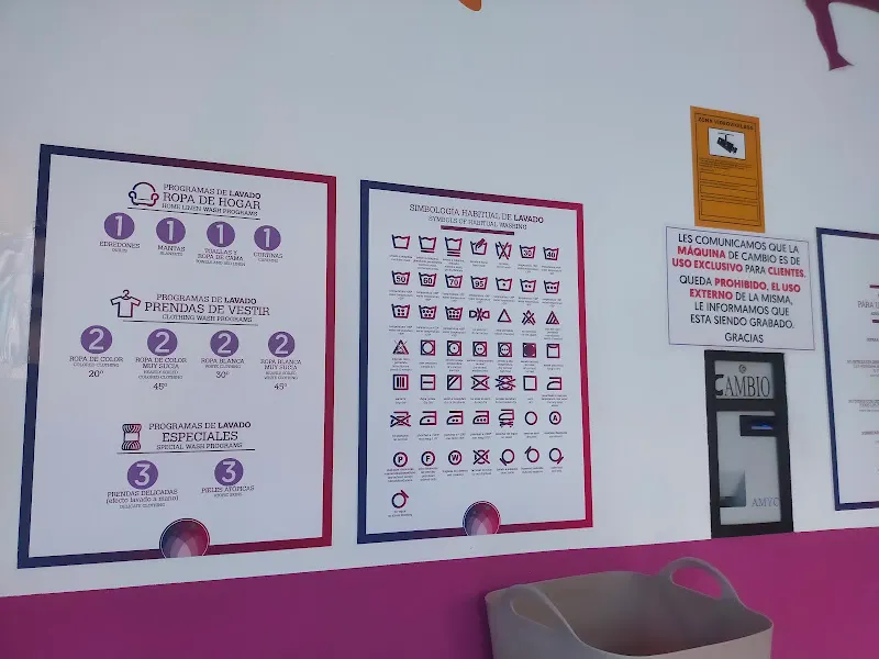 Lavanda - Palma