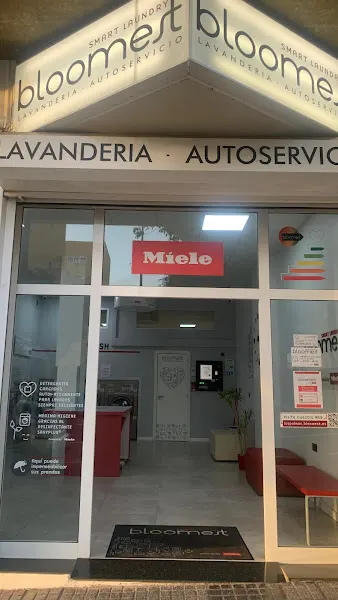 LAVANDERÍA Bloomest 7 Palmas