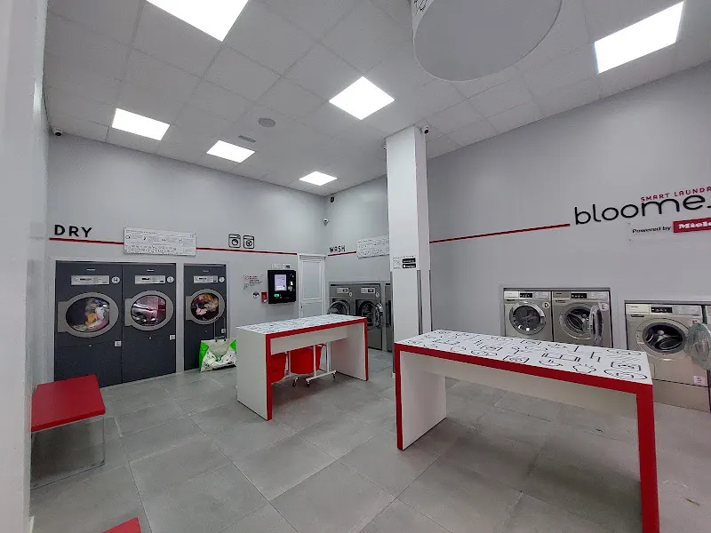 Lavandería Autoservicio Bloomest