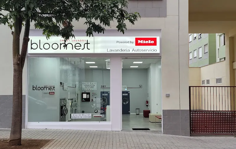 LAVANDERÍA AUTOSERVICIO BLOOMEST MIELE TAMARACEITE - Lavandería de autoservicio en Las Palmas de Gran Canaria - foto 2