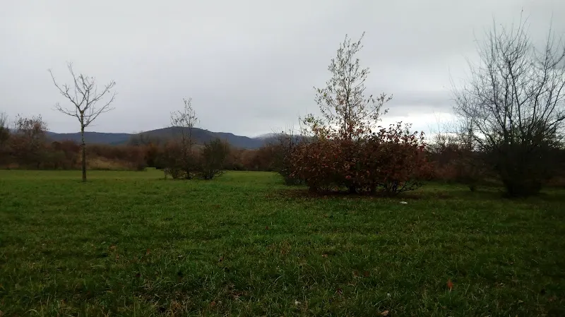 Indesa Área lavandería - Vitoria-Gasteiz